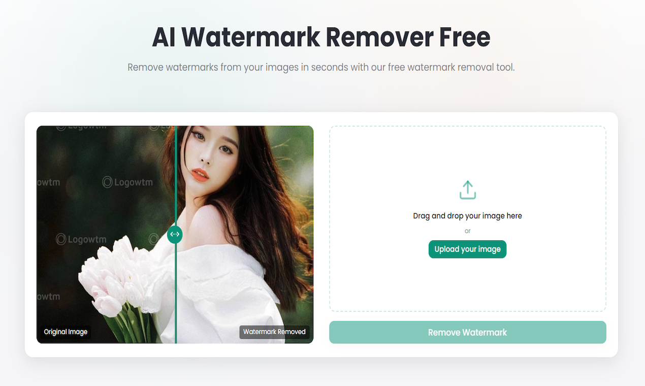 Watermark Remover