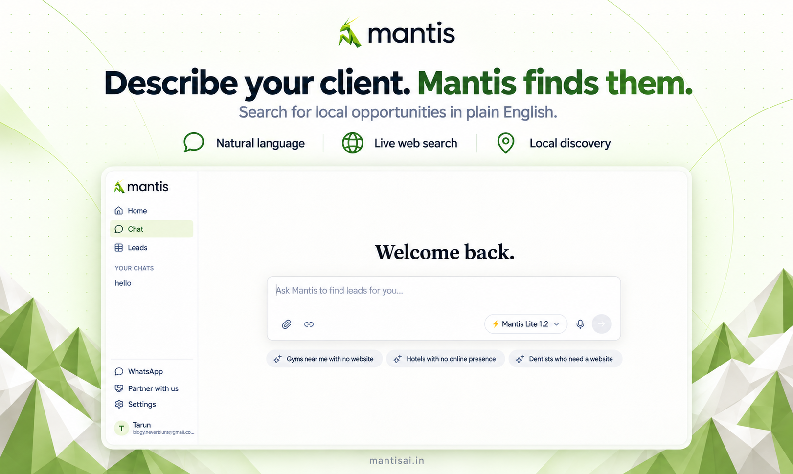 Mantis AI preview