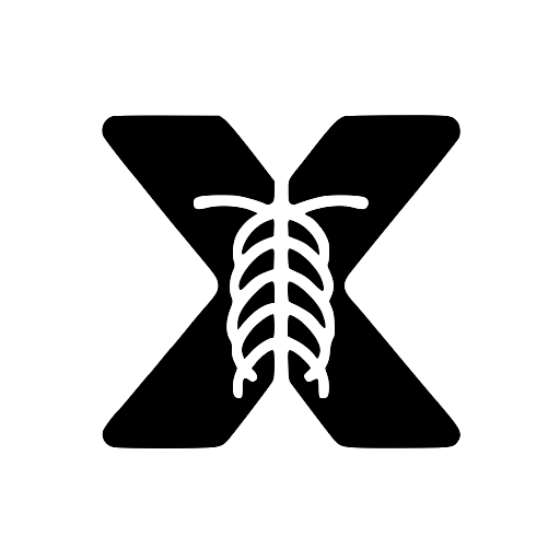 X-ray Interpreter