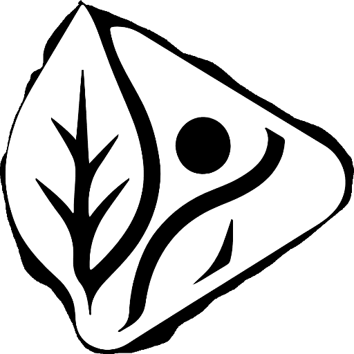 AI UGC Video Generator